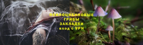 герыч Дмитриев