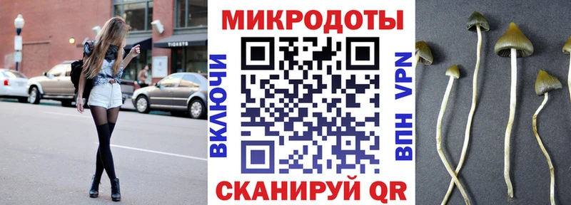 Псилоцибиновые грибы Cubensis  MEGA как зайти  Исилькуль 